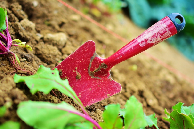 sasu-LA TRINITE-min_gardening-2448134